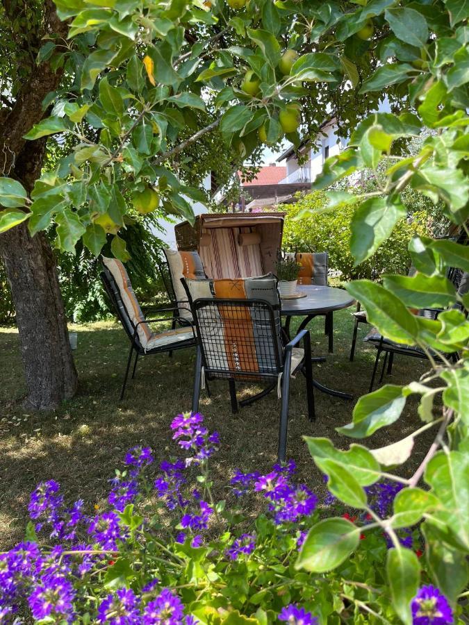 Ferienwohnung Meissner 巴特罗达克 外观 照片